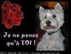 ENVOYER UNE CARTE POSTALE VIRTUELLE pleine de tendresse pour la f&ecirc;te des m&egrave;res, pour d&eacute;clarer votre amour, pour entretenir une amiti&eacute;