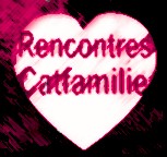 Rencontres amoureuses entre c�libataires hommes et femmes. Sites de rencontres amoureuses et s�rieuses. Possibilit� rencontres gays et lesbiennes. Faites des rencontres amoureuses entre c�libataires en toute libert� et en toute s�curit� avec la Catfamilie
